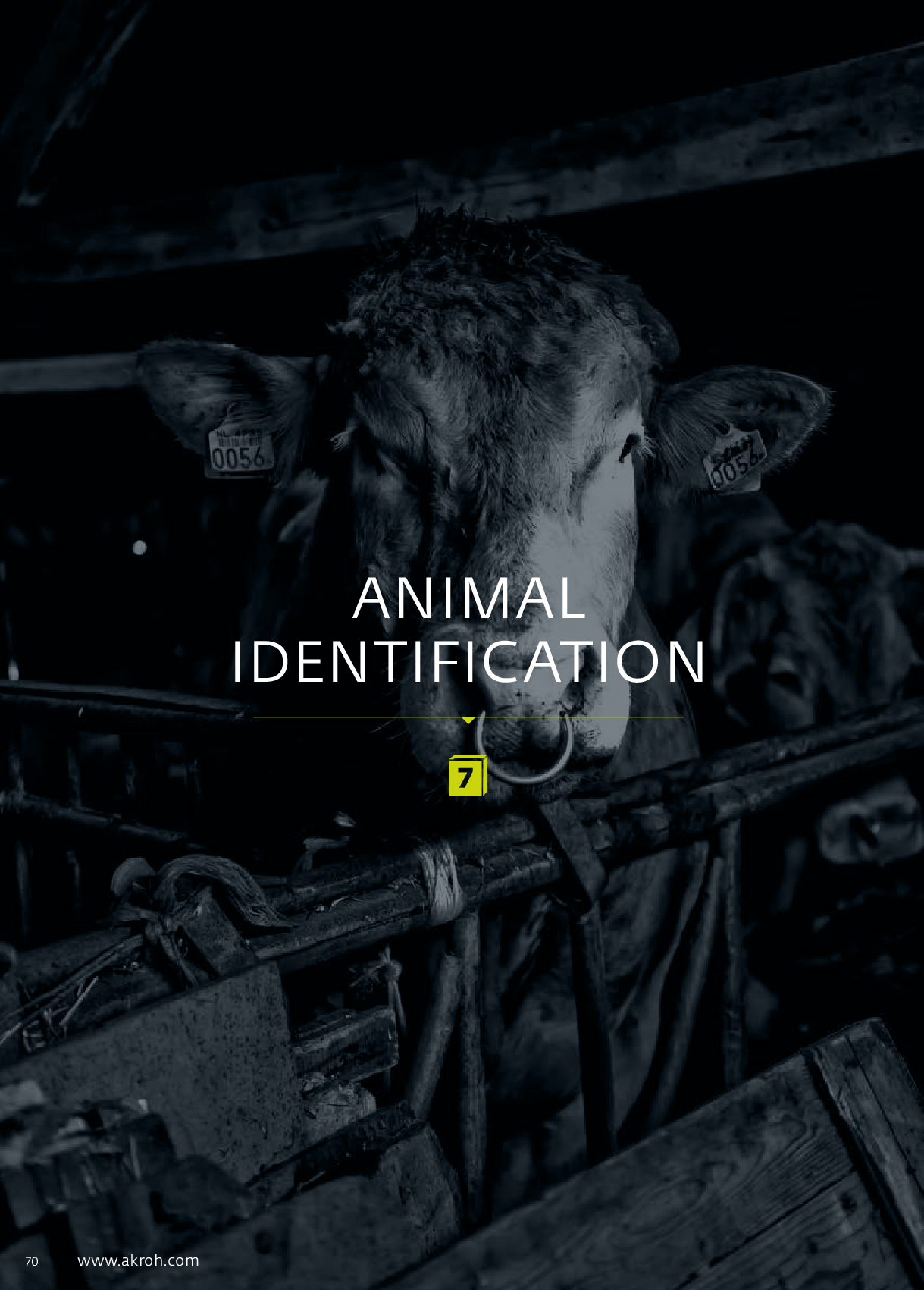 Folder preview